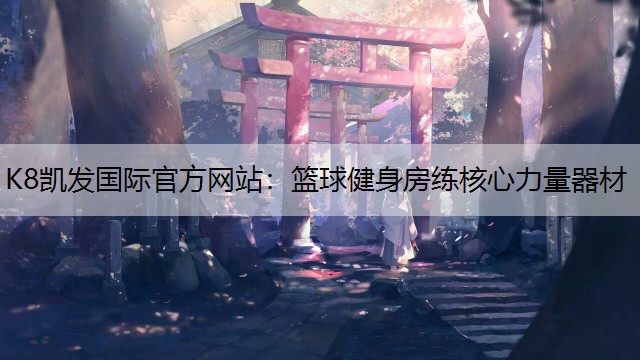 K8凯发国际官方网站：篮球健身房练核心力量器材