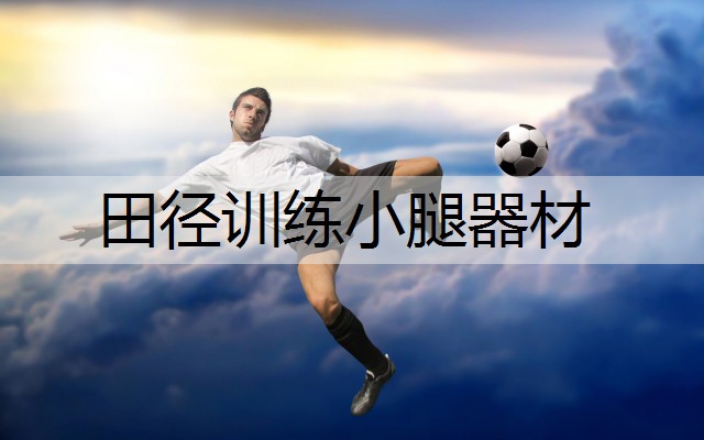 田径训练小腿器材