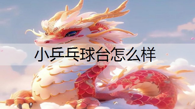 小乒乓球台怎么样