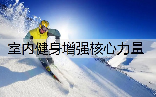 室内健身增强核心力量