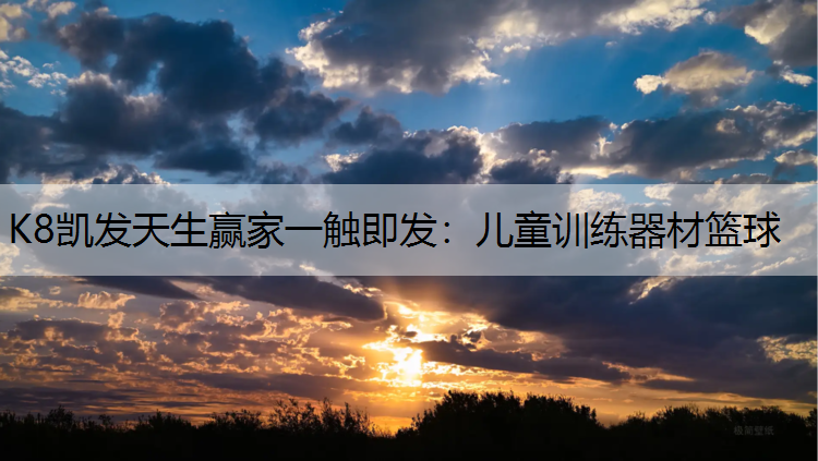 K8凯发天生赢家一触即发：儿童训练器材篮球