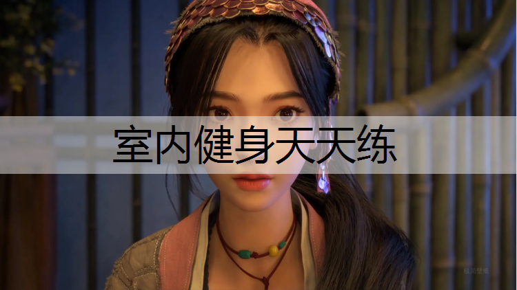 室内健身天天练