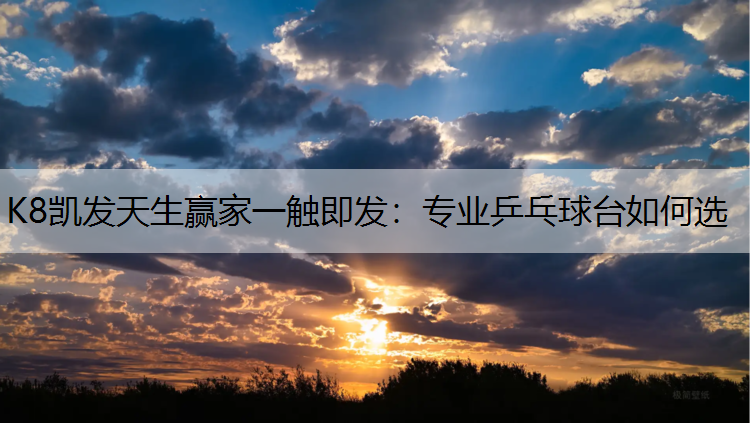 K8凯发天生赢家一触即发：专业乒乓球台如何选