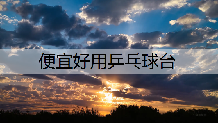便宜好用乒乓球台