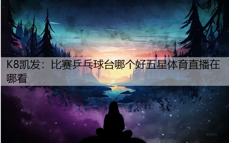 K8凯发：比赛乒乓球台哪个好五星体育直播在哪看
