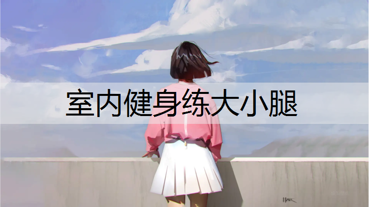 室内健身练大小腿