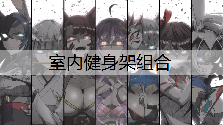 室内健身架组合