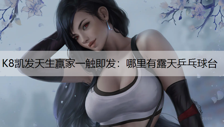 K8凯发天生赢家一触即发：哪里有露天乒乓球台