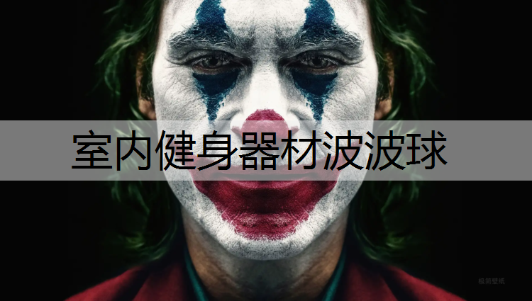 室内健身器材波波球