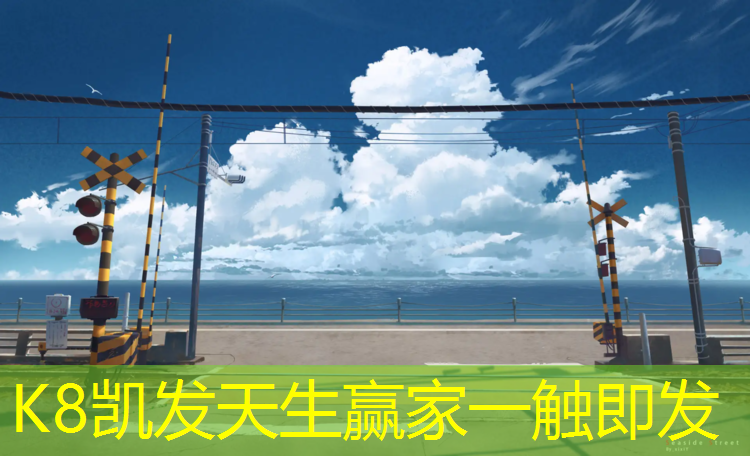 K8凯发：跆拳道电子护具小分是什么_