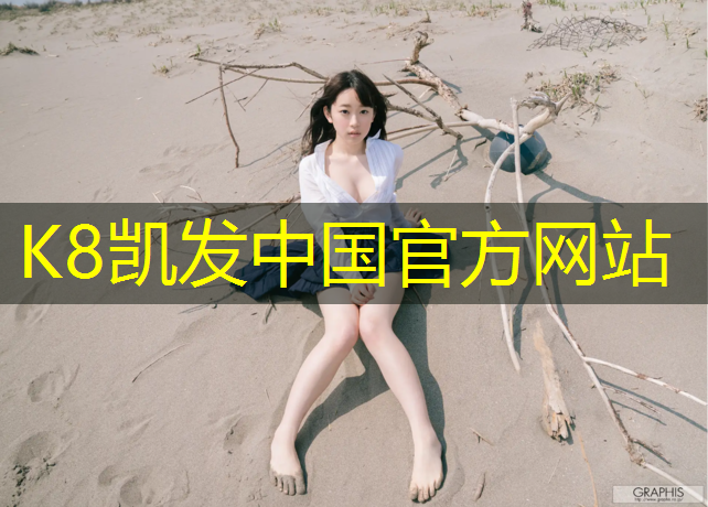K8凯发中国官方网站：早期网球网络游戏叫什么_