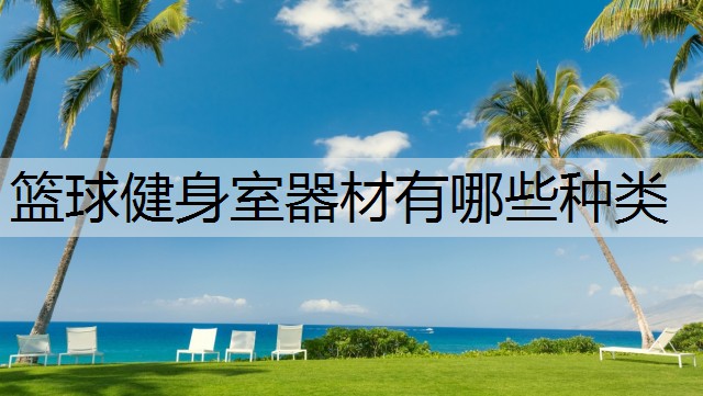 篮球健身室器材有哪些种类