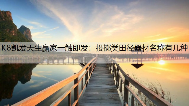 投掷类田径器材名称有几种