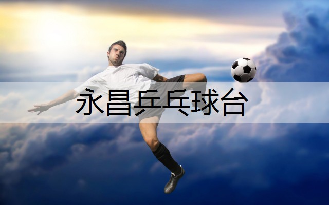 永昌乒乓球台
