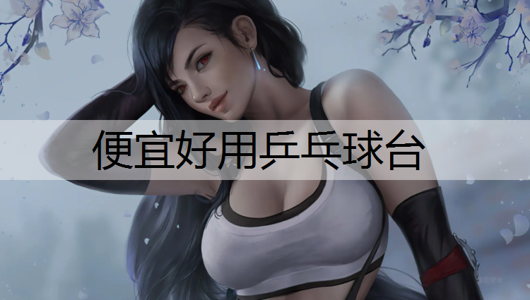 便宜好用乒乓球台