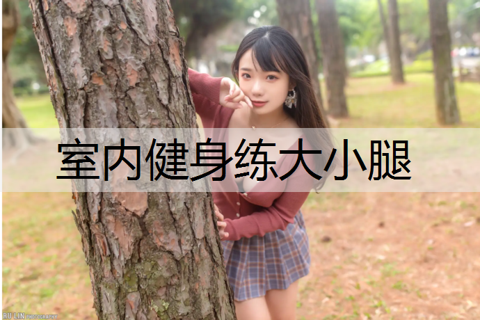 室内健身练大小腿