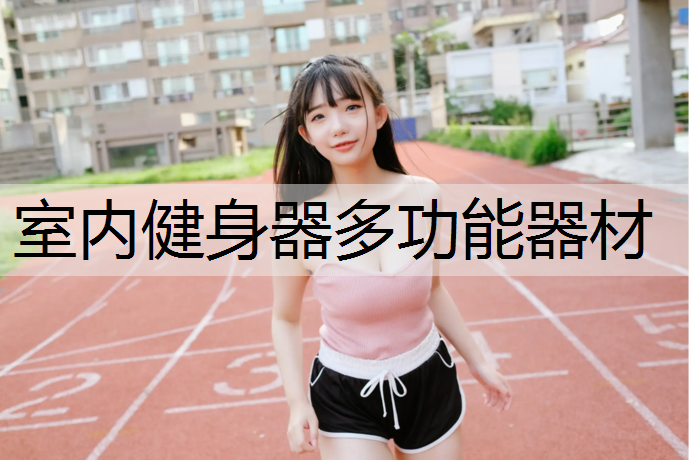 室内健身器多功能器材
