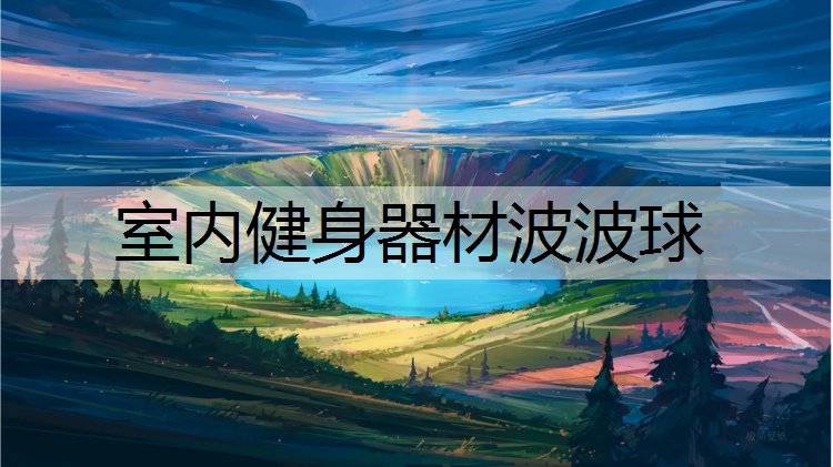 室内健身器材波波球