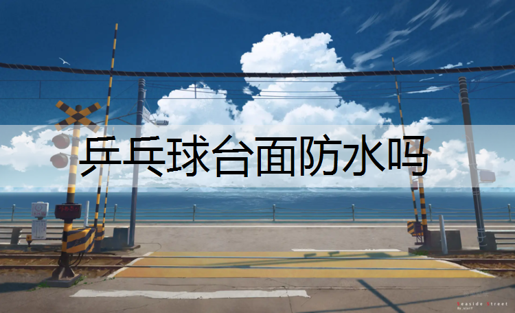 乒乓球台面防水吗